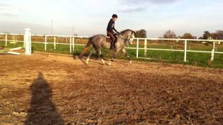 Carmencita 27/10-2014