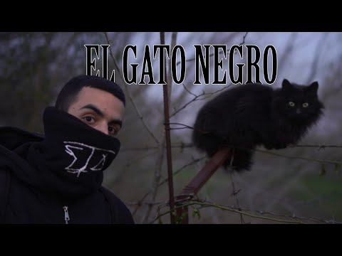 Kállι - EL GATO NEGRO (Prod. by FRZRSVN BEATS) [Official Music Video]