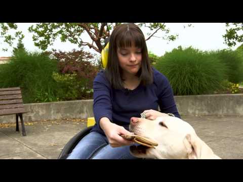 Snoopy Pop and Canine Companions - English