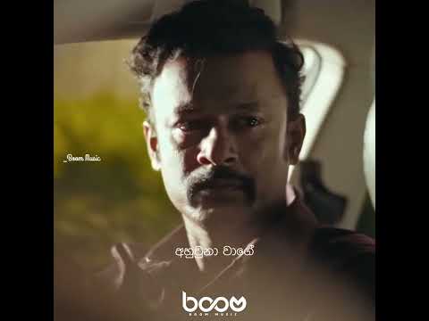 මම සිල් බිඳ ගත්තේ😁😁 #කොඩිගහයට #kodigahayata