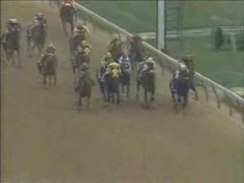 Strike The Gold - 117th Kentucky Derby Winner 1991