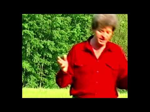 Gavril Puscas - Vreau sa te intreb, iubit calator