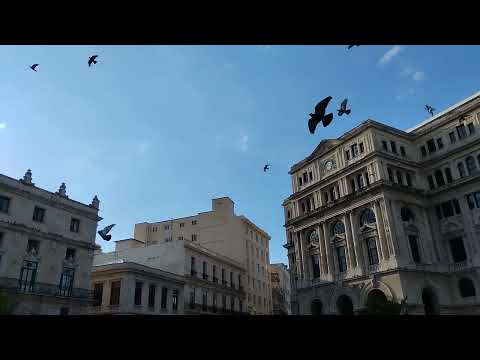 Plaza de las Palomas. La Habana Vieja. Cuba.