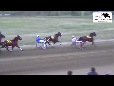 GPN DE YEGUAS 2026 HIPODROMO DE DEVOTO DOMINGO 23 DE AGOSTO
