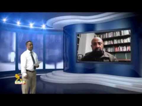 ESAT Exclusive- Dr Berhanu Nega on recent weyane  deal offer for Ginbot 7 December 2, 2013