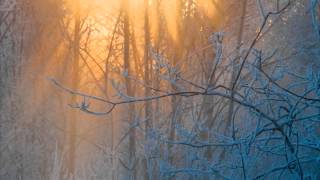 Summoning - Old Mornings Dawn (Lyrics)