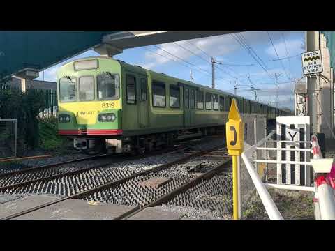 DART 8319 (8100 Class) Arriving Into Bray Station Co. Wicklow