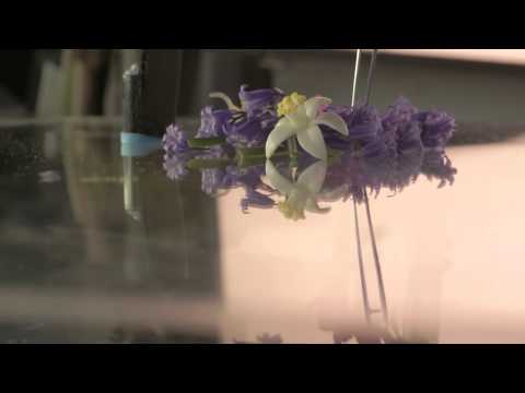 Yardley English Bluebell Film 2015