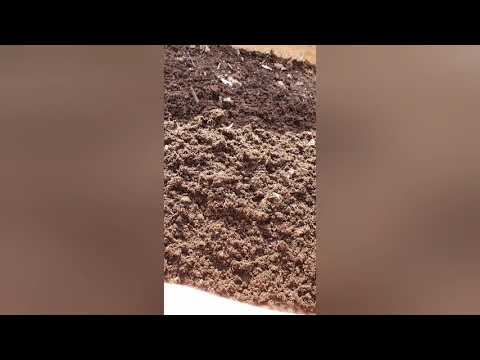 Skapa egen jord av hästgödsel.