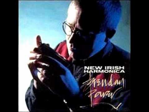 Brendan Power - Jolly Beggerman / Crowley's Reel