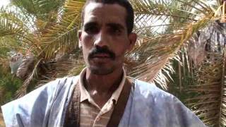 Palmeraie Bamba Ould Elemine.flv Palmeraie Bamba Ould Elemine.flv