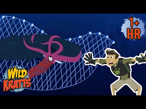 Rescuing a Trapped Whale | Creature Rescue | Wild Kratts
