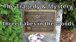 The Tragedy &amp; Mystery of Three Babes in the Woods