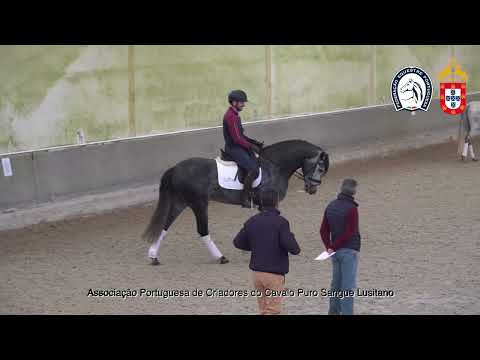 220428 1 Proj Ensino APSL&FEP - João Pedro Rosa com Oráculo