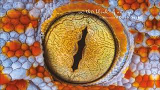 Simon Power - How Proud We Are (Banco de Gaia remix)