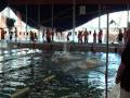 4x25 meter manikin carry - Women - Dutch Pool Relays