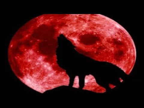 Super Blood Wolf Moon TRUMP Connection? End Time News Update January 20-21 2019 SIGNS in the Heavens Video