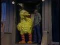 1211 Big Bird Stays At Gordon S In The Rain