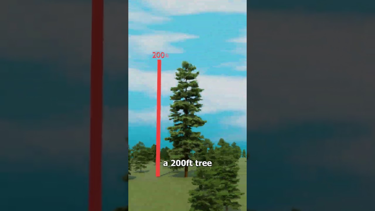 Surviving a 30,000-Foot Fall 😱