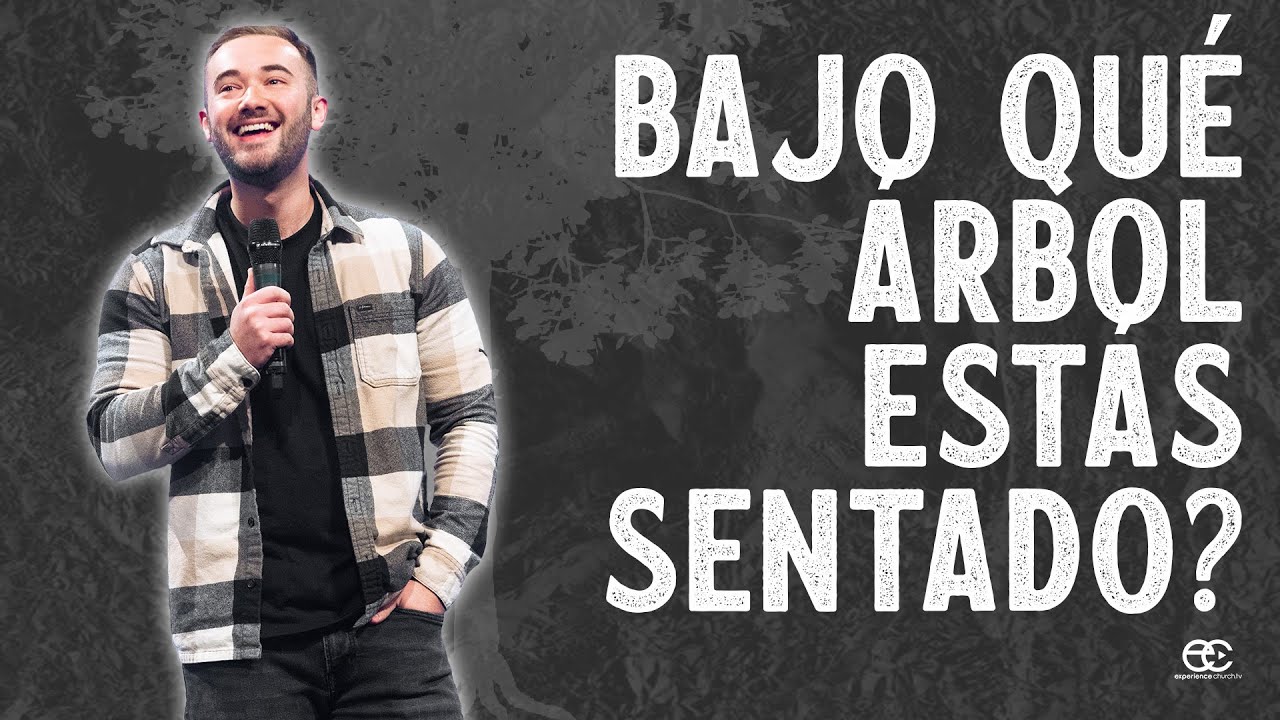 Dariel Cummins | Bajo qué árbol estás sentado?