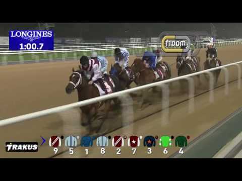 Race 7 - Al Maktoum Challenge R3 Sponsored By Emirates Airline