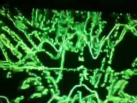 Ionica si Adriana stoica