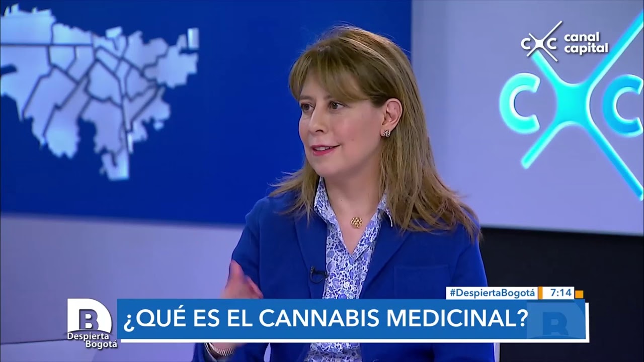 ¿Para qué sirve el cannabis medicinal? - Despierta Bogotá
