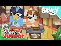 Bluey La Pizza Disney Junior Oficial