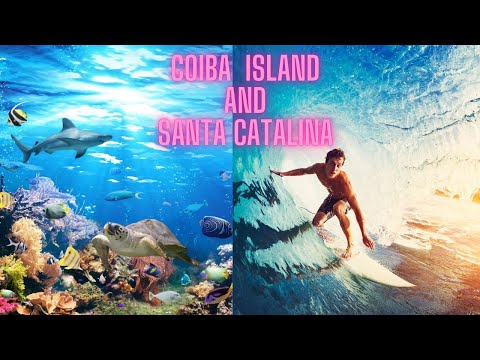 "Discover Coiba Island & Santa Catalina: Surfing and Diving Paradise" #nationalpark #surf #dive