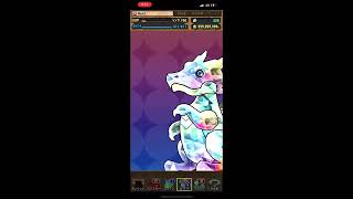 石20個！星7フェス限確定ガチャ24連！！