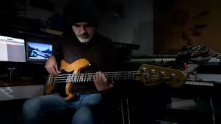 Meshell Ndegeocello - Soul On Ice Bass Cover - Plantation Lullabies (1993)