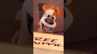 Tem TRAIÇÕES no FUNDO de Pets