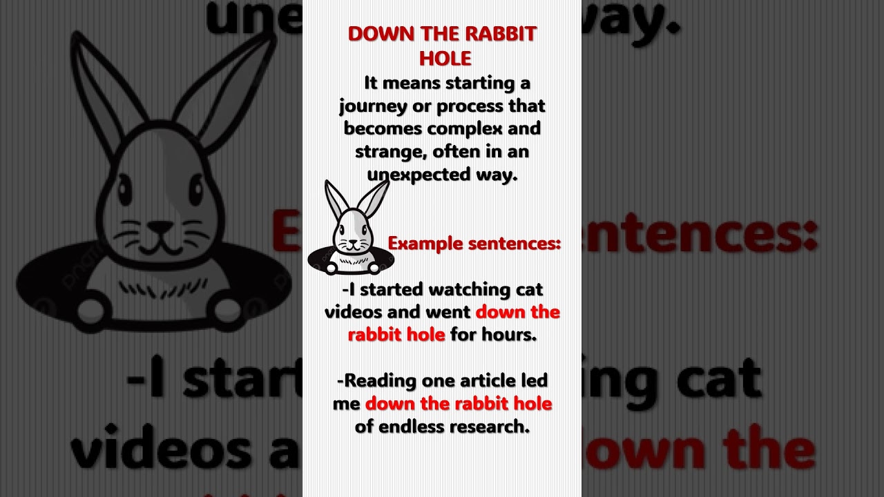 DOWN THE RABBIT HOLE.