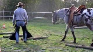 preview picture of video 'équitation western et éducation du cheval par tony clemenceau  horseman au tinkapalo ranch'