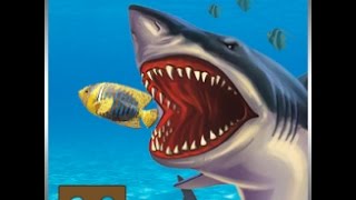 Killer Shark Attack Vr