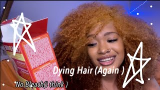 Dyeing My Hair Honey Blonde & Blonde( No Bleach )|| Ashley Renee