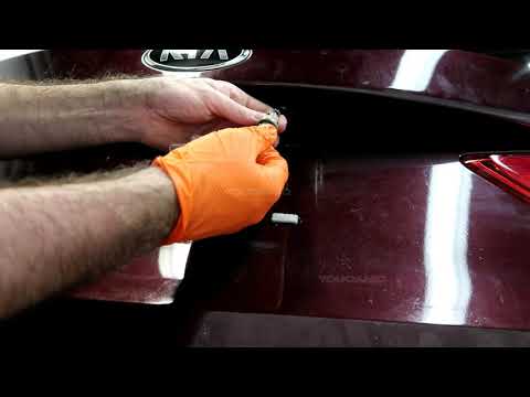 2015-2020 Kia Optima License Plate Light Bulb Replacement