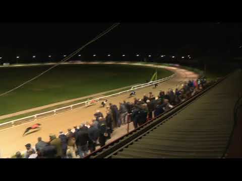 Looking Sharp - Watson Family Marathon