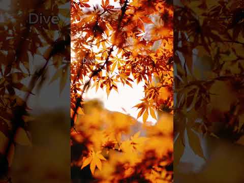 The unpolished gem of creativity