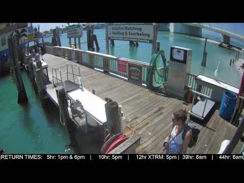 Hubbard's Marina Dock