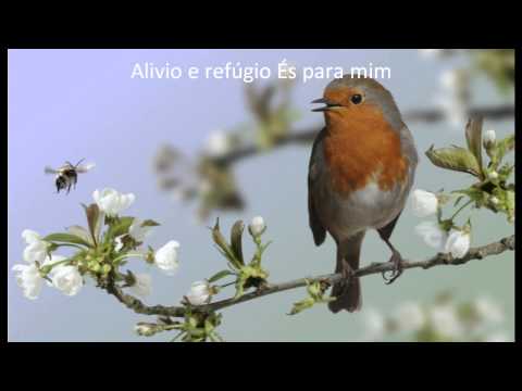 Toque Poder PlayBack