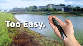 These Beginner Frog Fishing Mistakes WILL Cost You!!