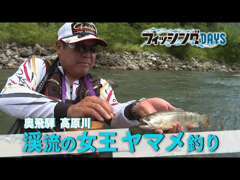 【フィッシングDAYS】#111　奥飛騨で渓流の女王ヤマメを追う