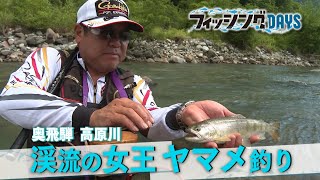 がま渓流 本流スペシャル2 | がまかつ がま渓流 本流スペシャル2 | がまかつ
