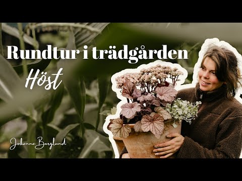 Rundtur i vår trädgård - höst 