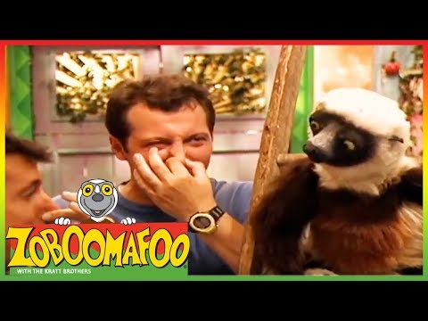 🐵🐒 Zoboomafoo 139 | Stinky | Animal shows for kids | Full Episode | HD 🐵🐒