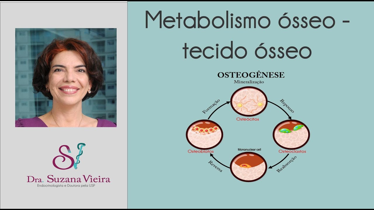 Metabolismo ósseo - formação e reabsorção óssea