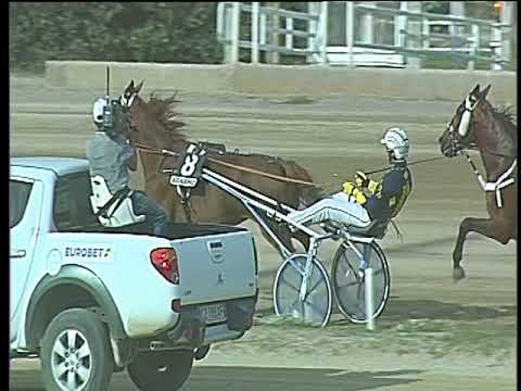 Trotto 24/09/2017 - 5ª corsa