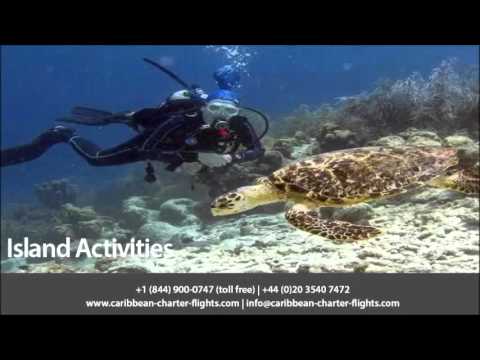 Mustique Your #1 Spot For The Perfectly Lavish Escape