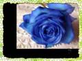 Mammy Blue 